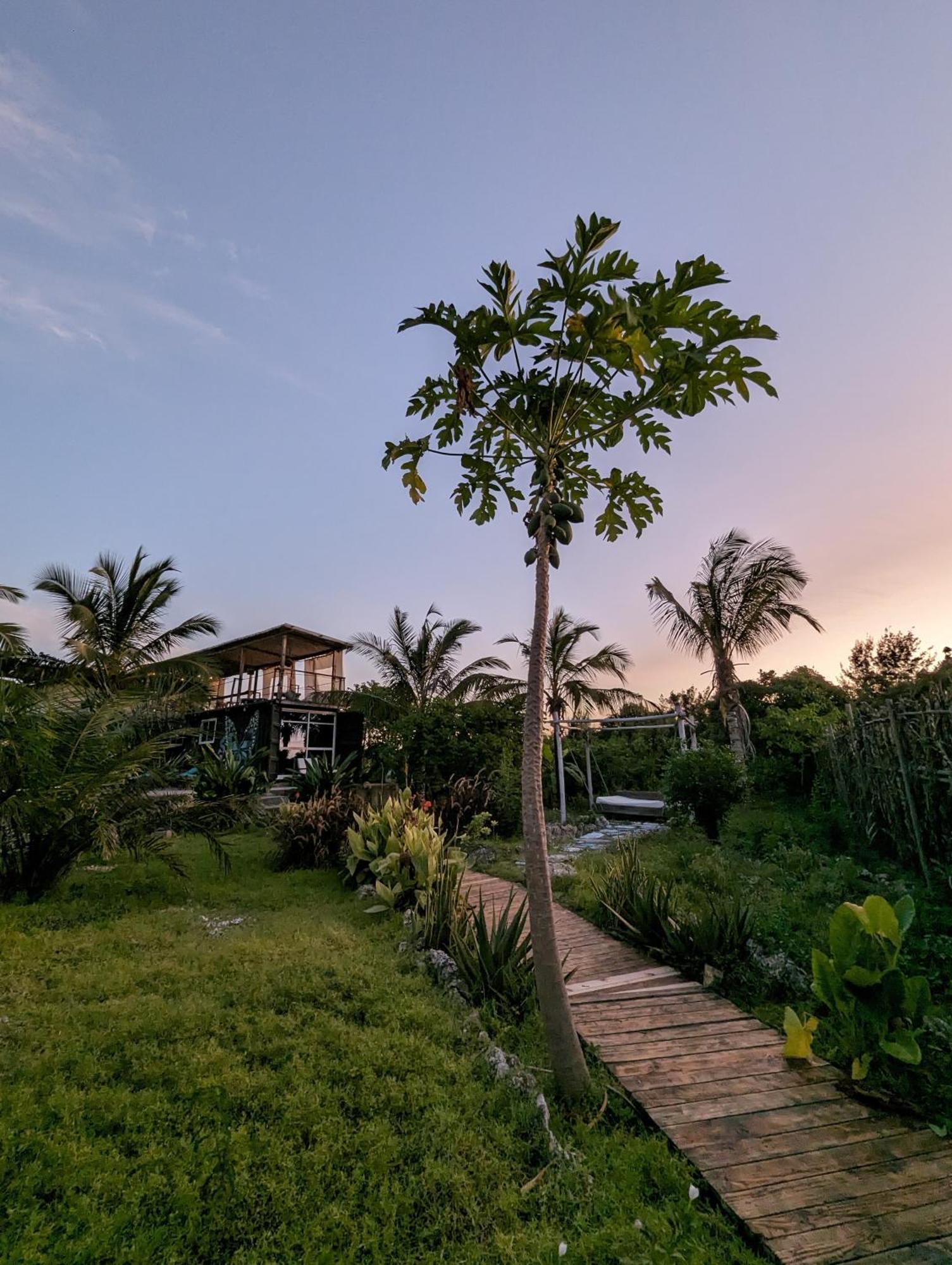 Jambiani Backpackers Hostel Exterior photo