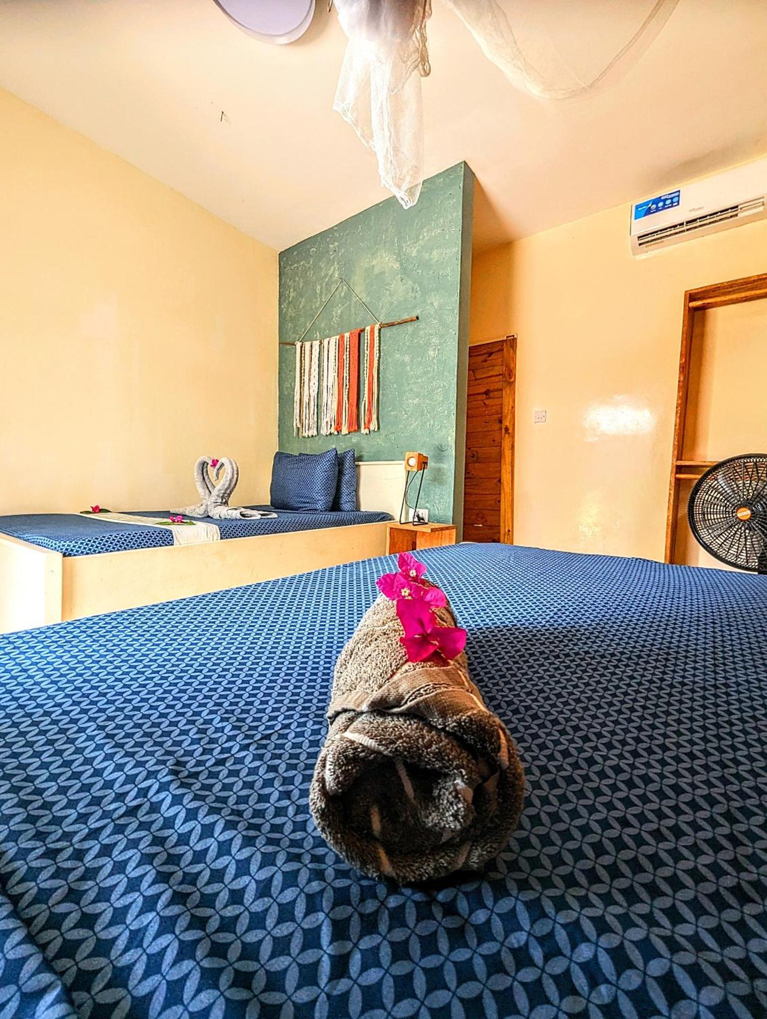 Jambiani Backpackers Hostel Room photo